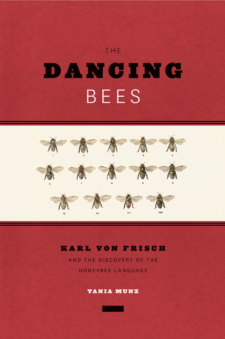 The Dancing Bees
