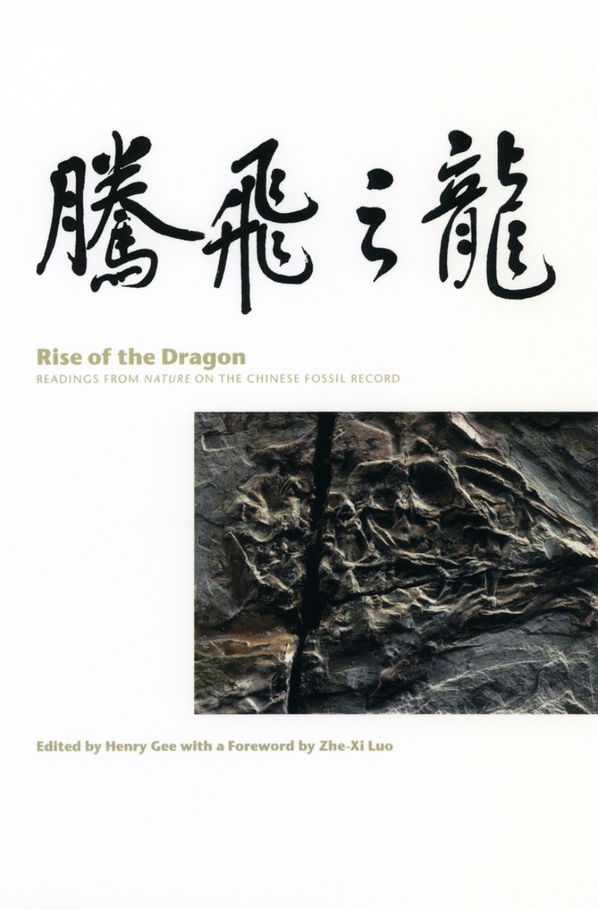 Rise of the Dragon