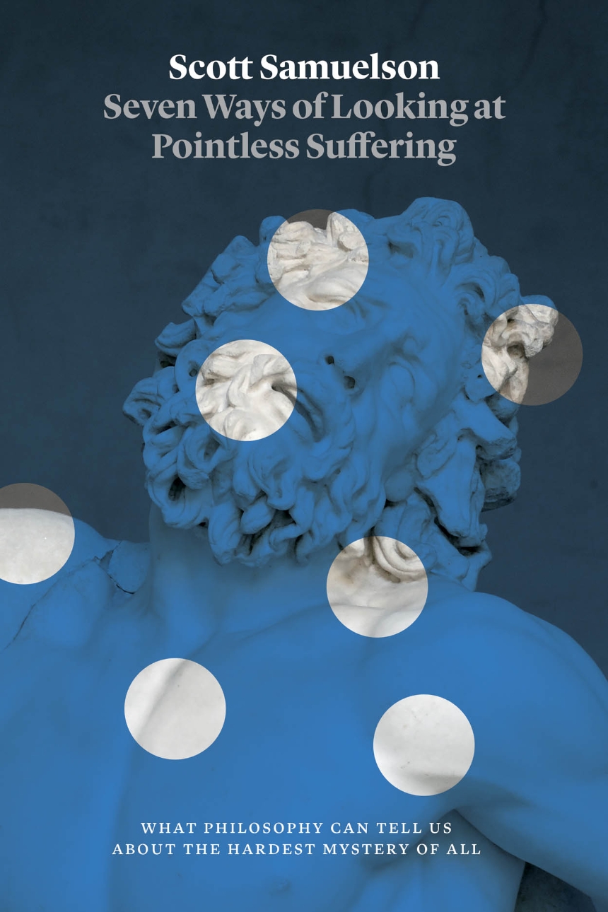 Seven Ways of Looking at Pointless Suffering