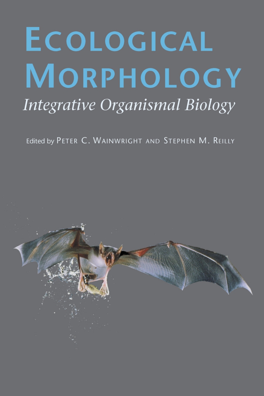 Ecological Morphology
