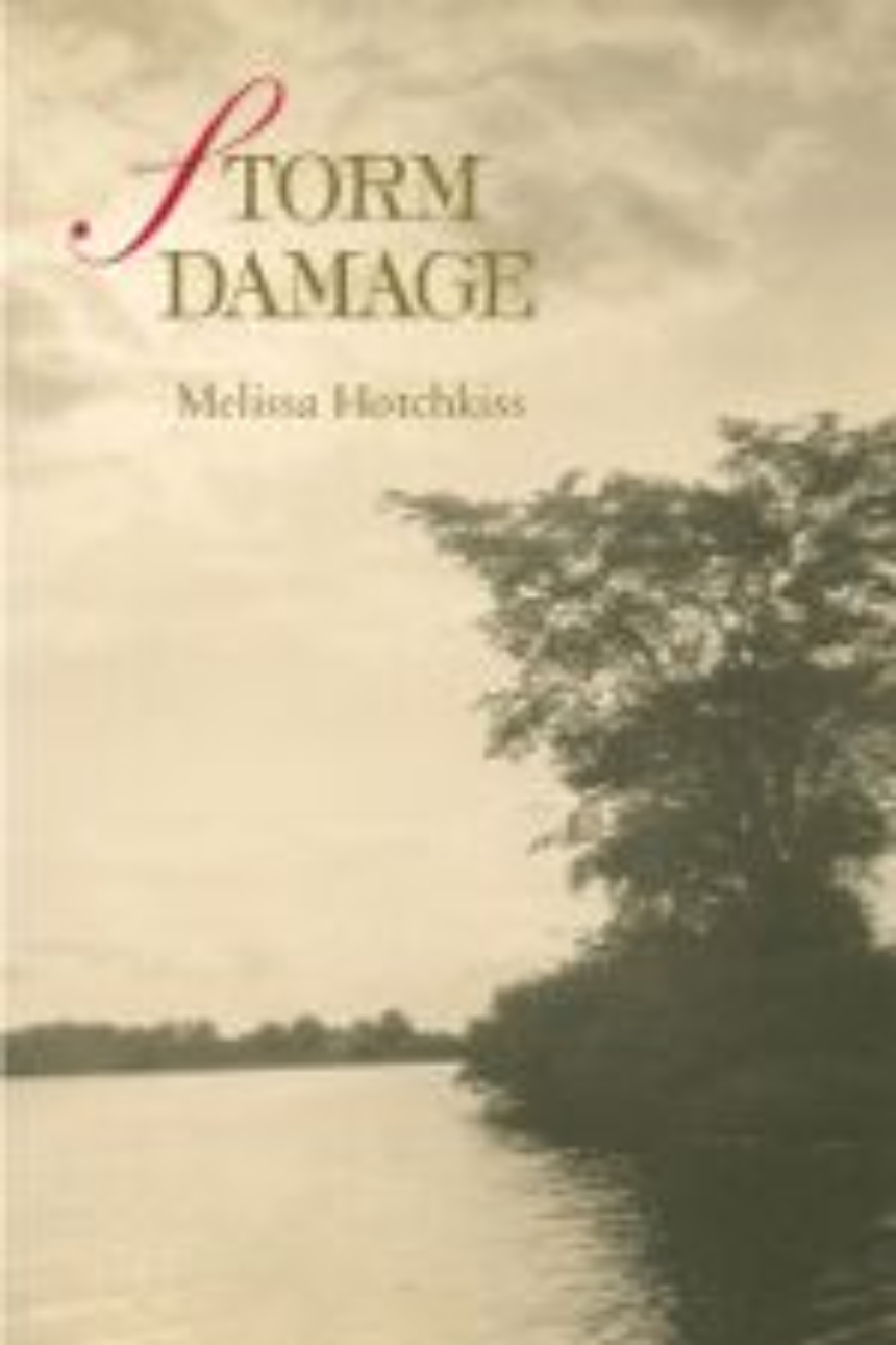 Storm Damage
