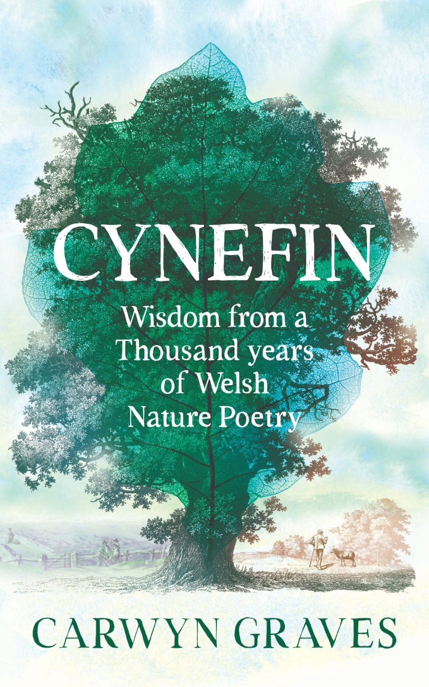 Cynefin