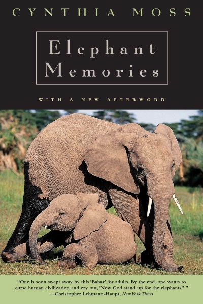 Elephant Memories: Thirteen Years in the Life of an Elephant Family