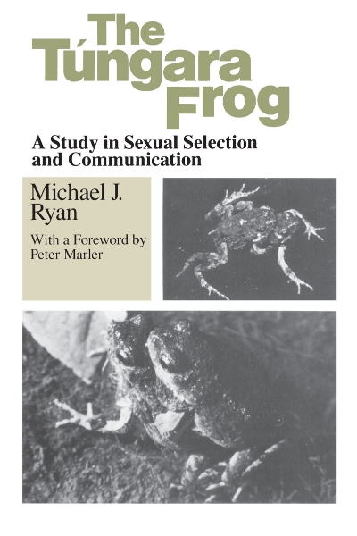 The Tungara Frog: A Study in Sexual Selection and Communication
