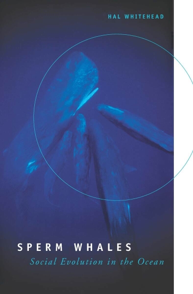 Sperm Whales: Social Evolution in the Ocean