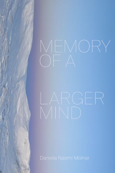 Memory of a Larger Mind