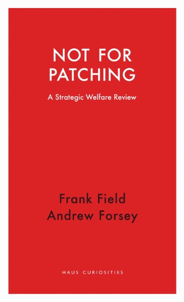 Not for Patching: A Strategic Welfare Review