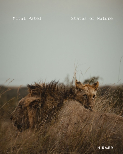 Mital Patel: States of Nature