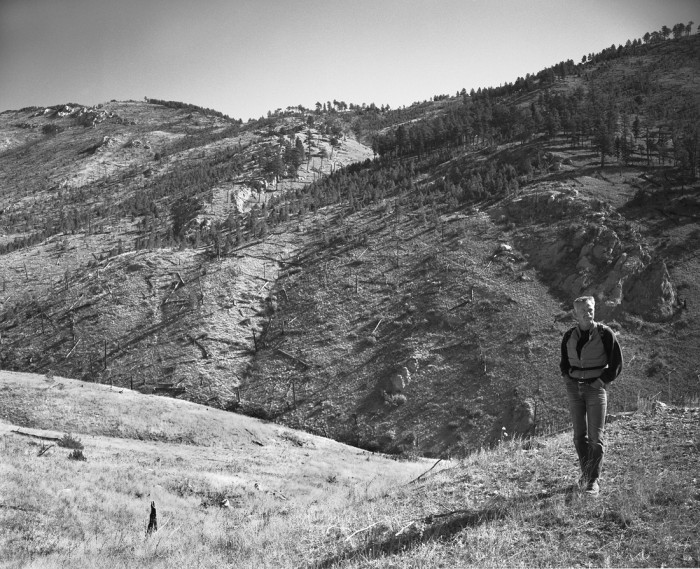 AT_Laird_Mann_Gulch - click to open lightbox