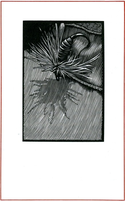 RRTI_grey_quill - click to open lightbox