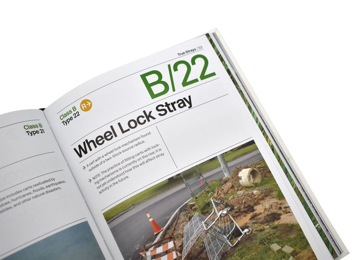 Stray Shopping Carts of Eastern North America 05 - click to open lightbox