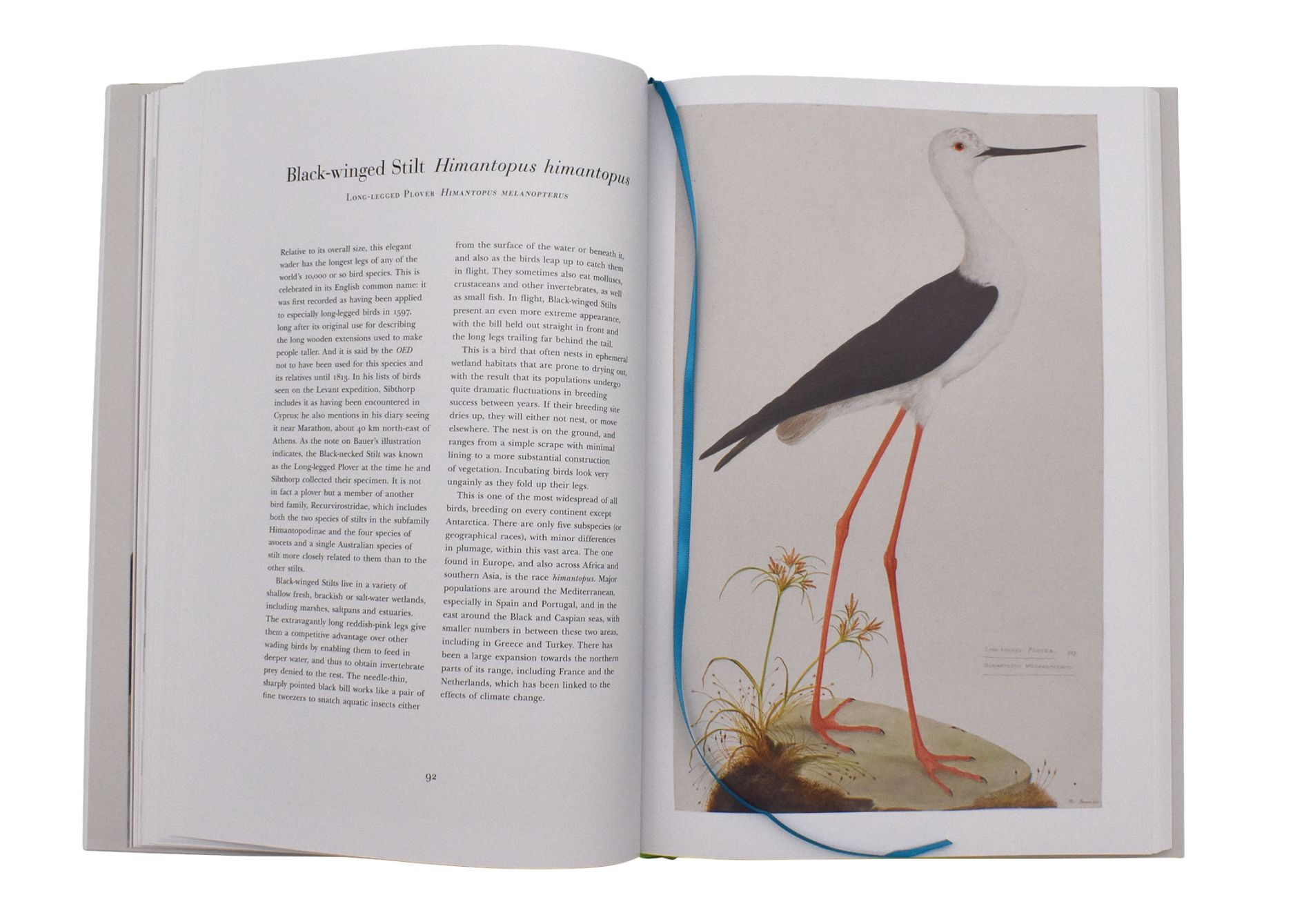 Ferdinand Bauers Remarkable Birds 02 - click to open lightbox