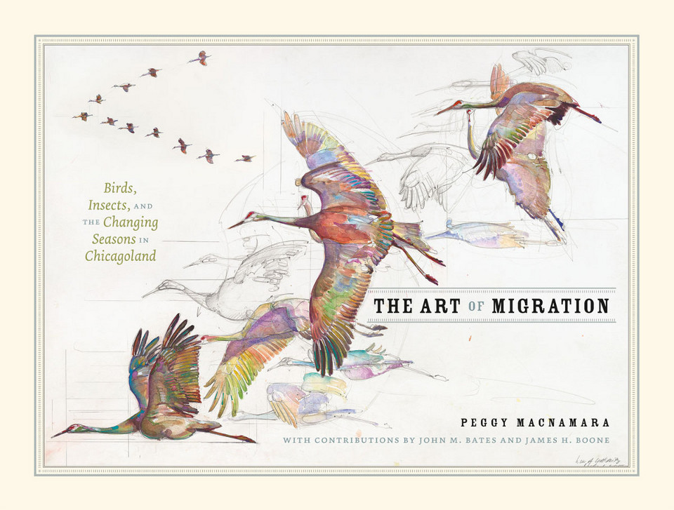 &ldquo;The Art of Migration&rdquo; Jacket Cover